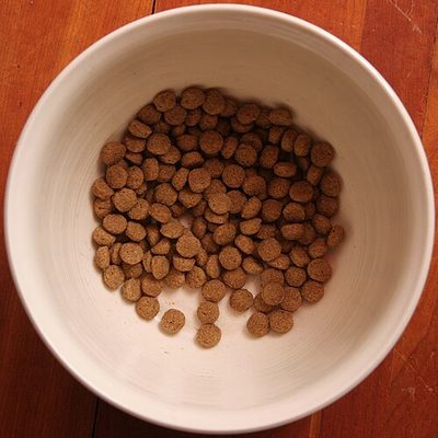 进口宠物食品（犬粮）与标签成分标注